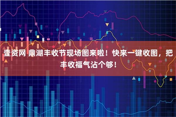 壹资网 鼎湖丰收节现场图来啦！快来一键收图，把丰收福气沾个够！