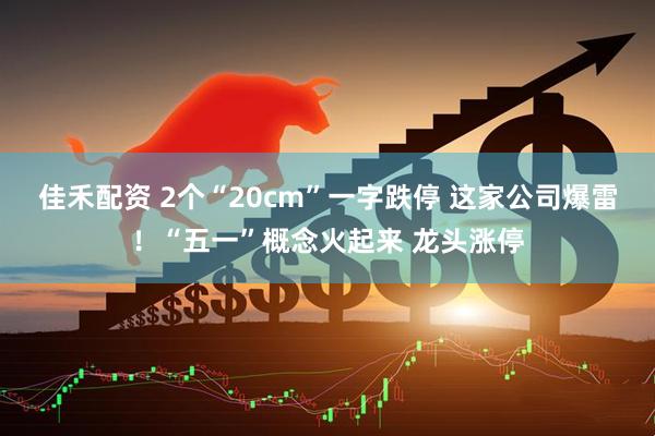 佳禾配资 2个“20cm”一字跌停 这家公司爆雷！“五一”概念火起来 龙头涨停
