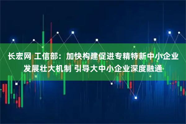 长宏网 工信部：加快构建促进专精特新中小企业发展壮大机制 引导大中小企业深度融通