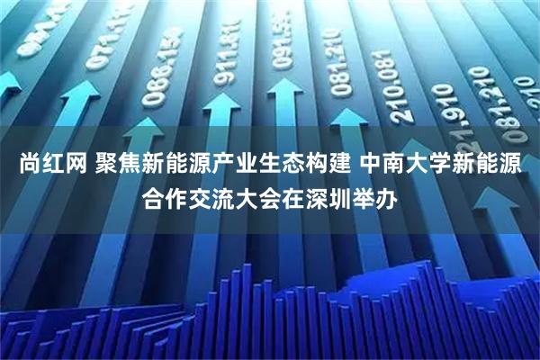 尚红网 聚焦新能源产业生态构建 中南大学新能源合作交流大会在深圳举办