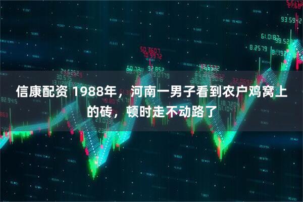 信康配资 1988年，河南一男子看到农户鸡窝上的砖，顿时走不动路了