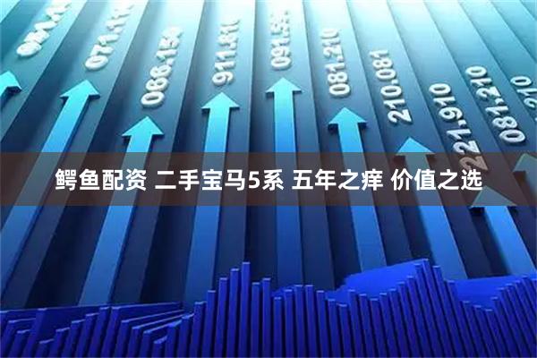 鳄鱼配资 二手宝马5系 五年之痒 价值之选